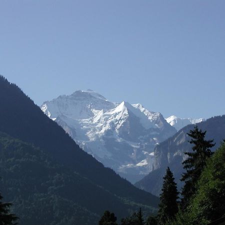 Arnolds Bed & Breakfast Interlaken Dış mekan fotoğraf